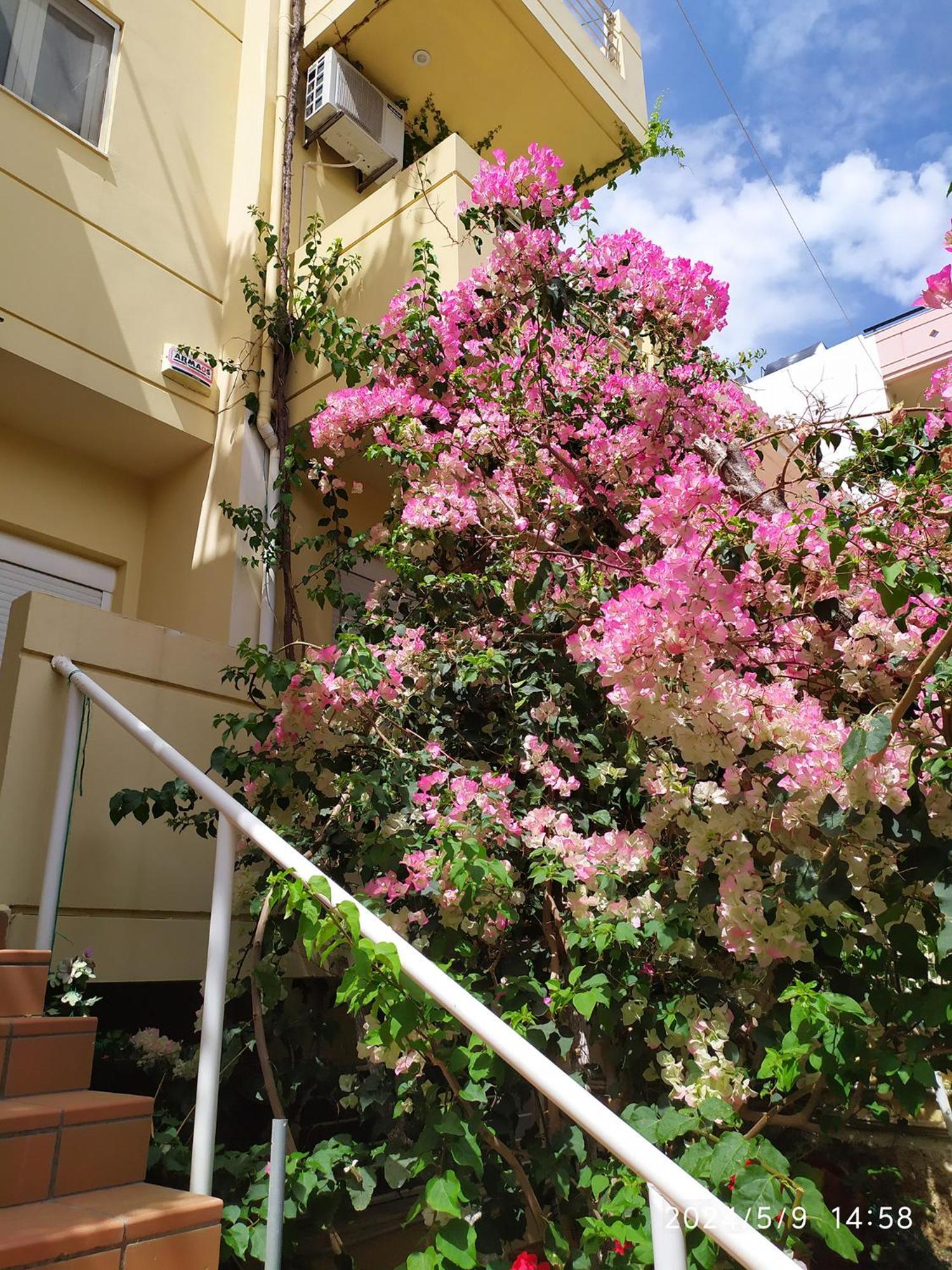 Apartment Georgia's Family Heraklion (Crete)