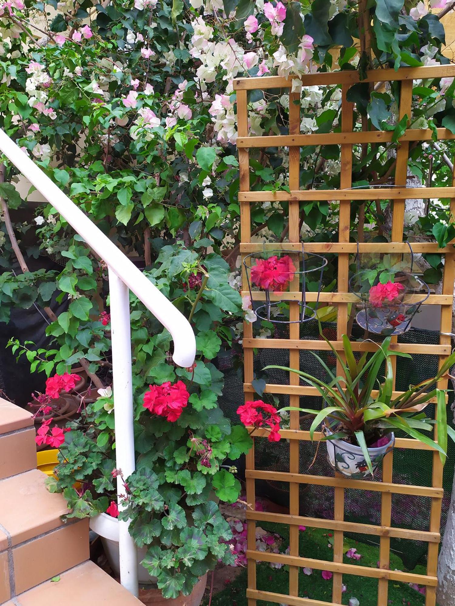 Apartment Georgia's Family Heraklion (Crete)