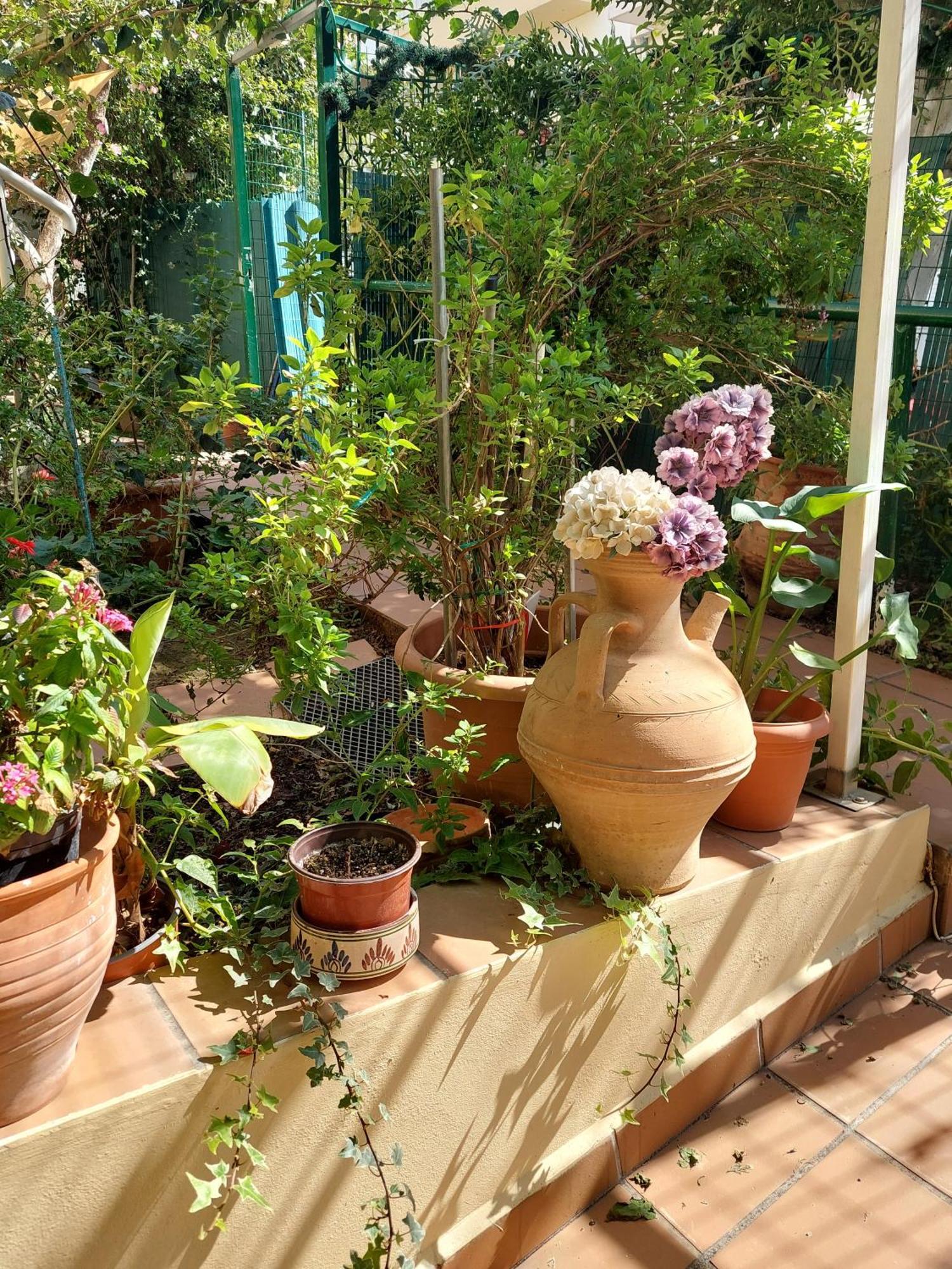 Georgia's Family Apartmán